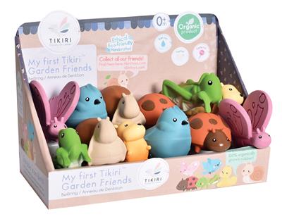 Minha primeira joaninha inseto