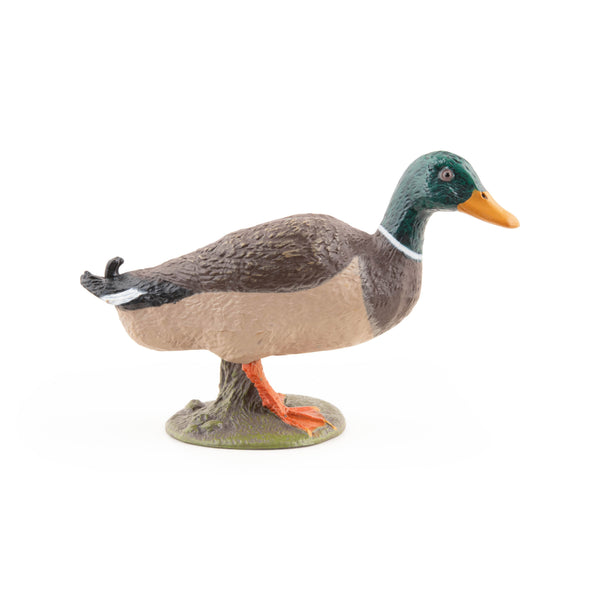 Figurine Canard colvert Papo - animal de la ferme