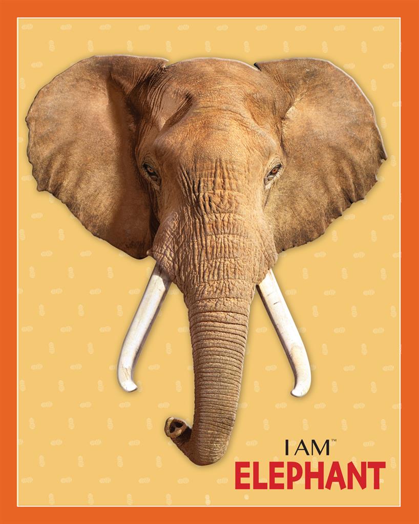 Puzzle Eléphant