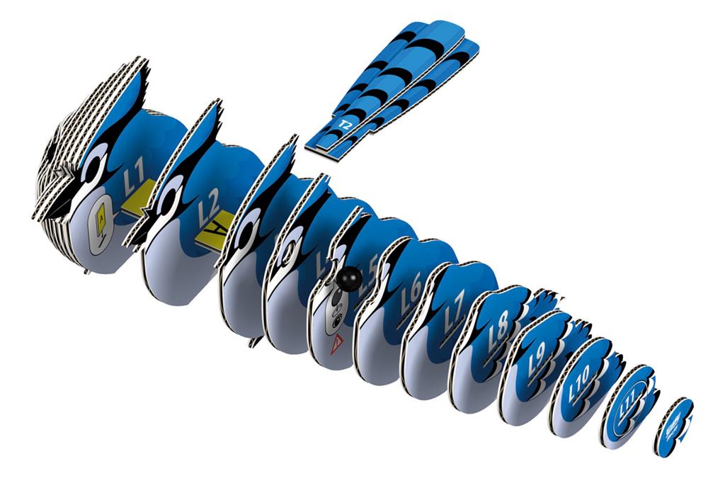 EUGY 3D - Arrendajo Azul