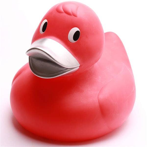 Canard Rouge XXL