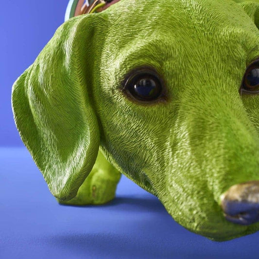 Collar para perro salchicha Wilfried M., resina polivinílica verde