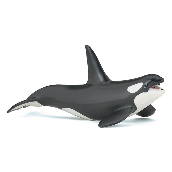 Figurine Orque Papo - animal marin