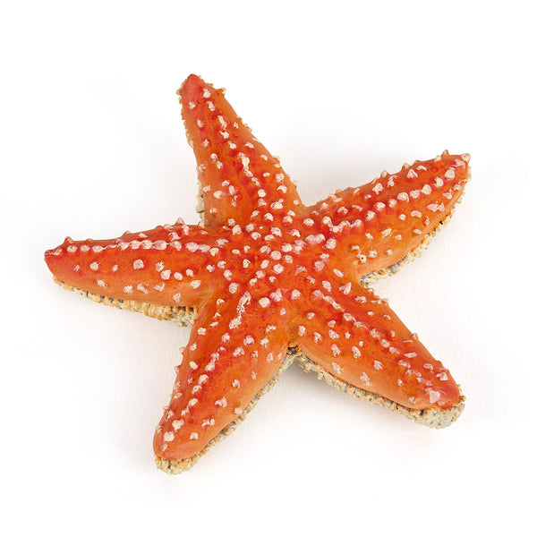 Figurine Etoile de mer Papo - animal marin