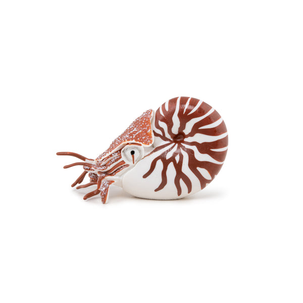 Figurine Nautile Papo - animal marin
