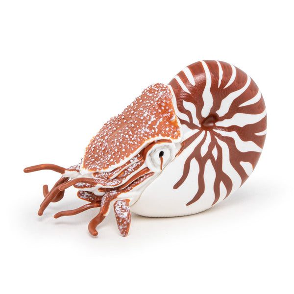 Figurine Nautile Papo - animal marin
