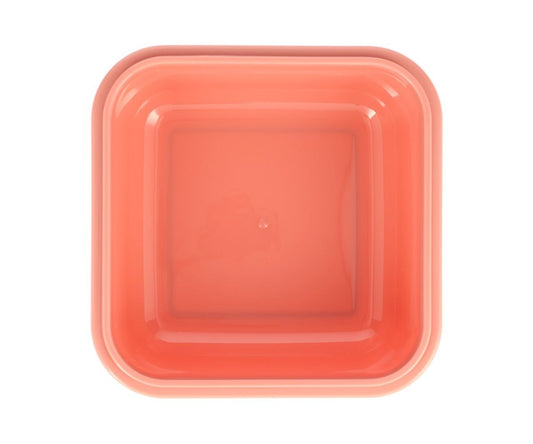 Fiambrera grande de hadas salvajes