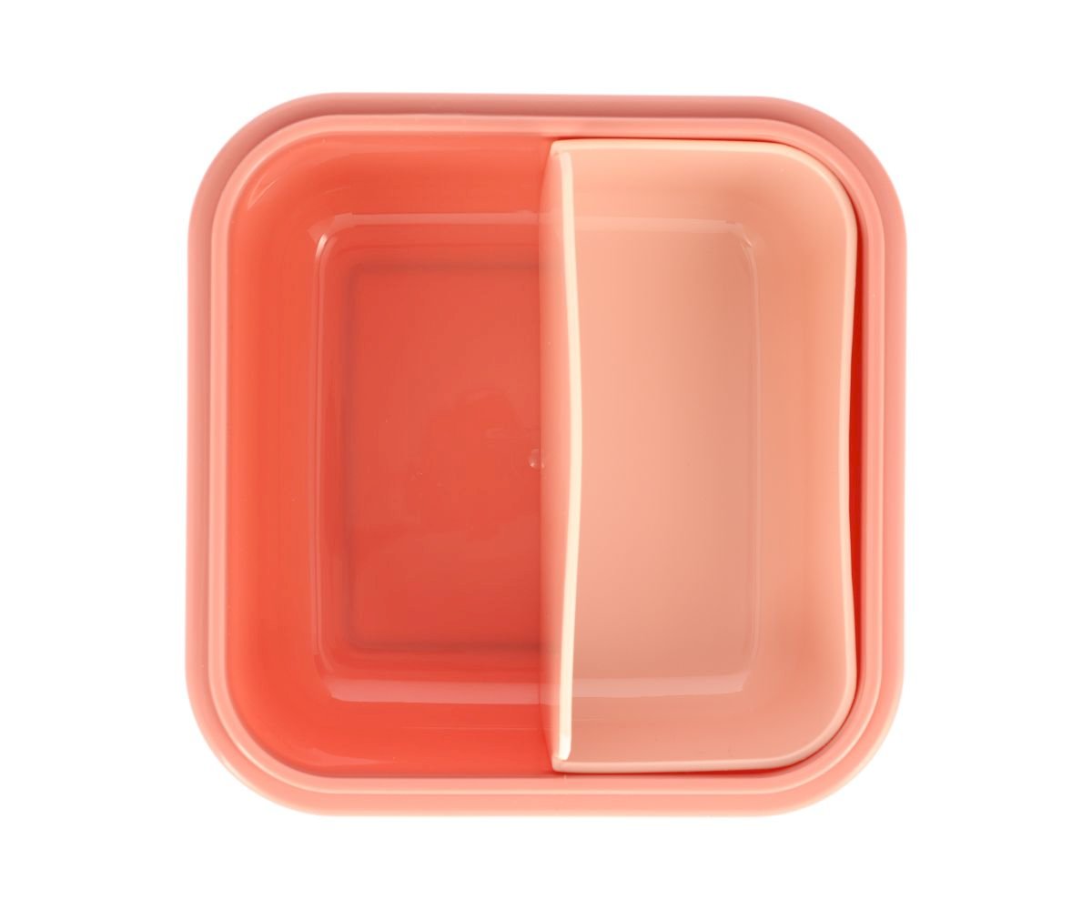 Large Wild Fairies Lunch Box