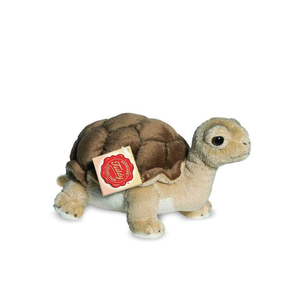 Peluche tartaruga