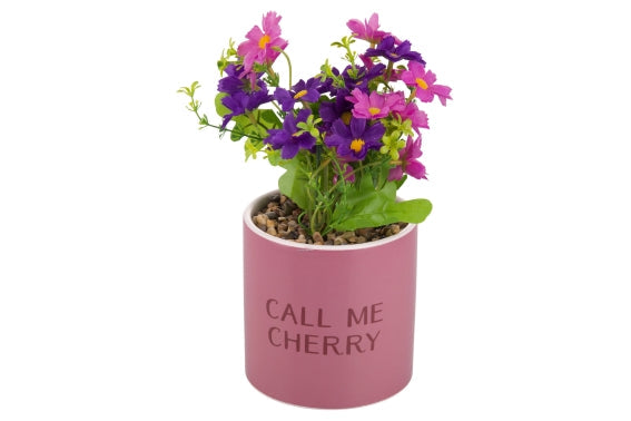 CALL ME CHERRY PIANTINA 10X20CM - 5923860
