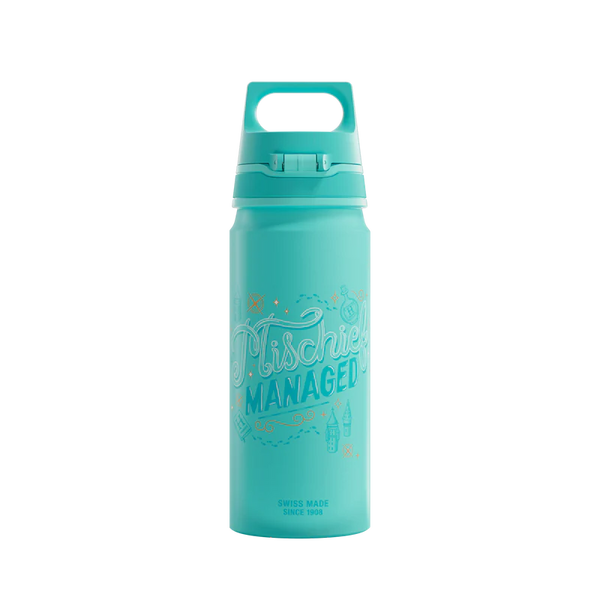 Gourde enfant WMB ONE Kids Harry Potter 0.6 L