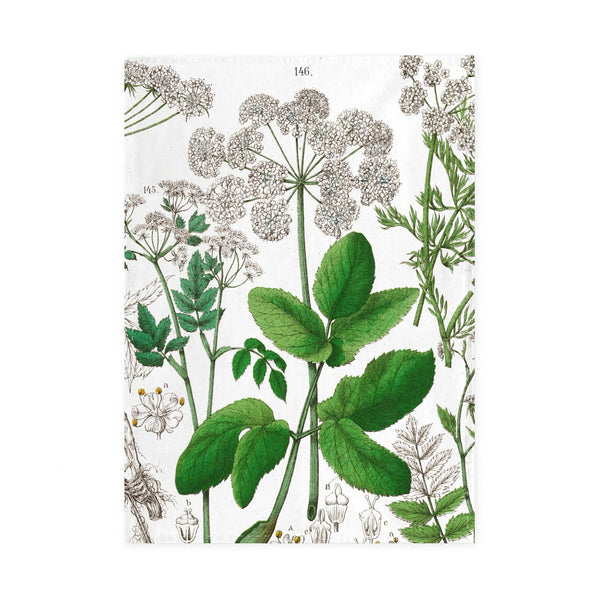 Torchon Hortus Botanicus fleur de sureau