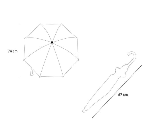 Parapluie Transparent Voitures