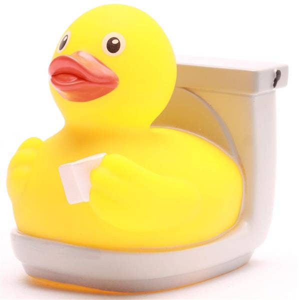 Canard WC