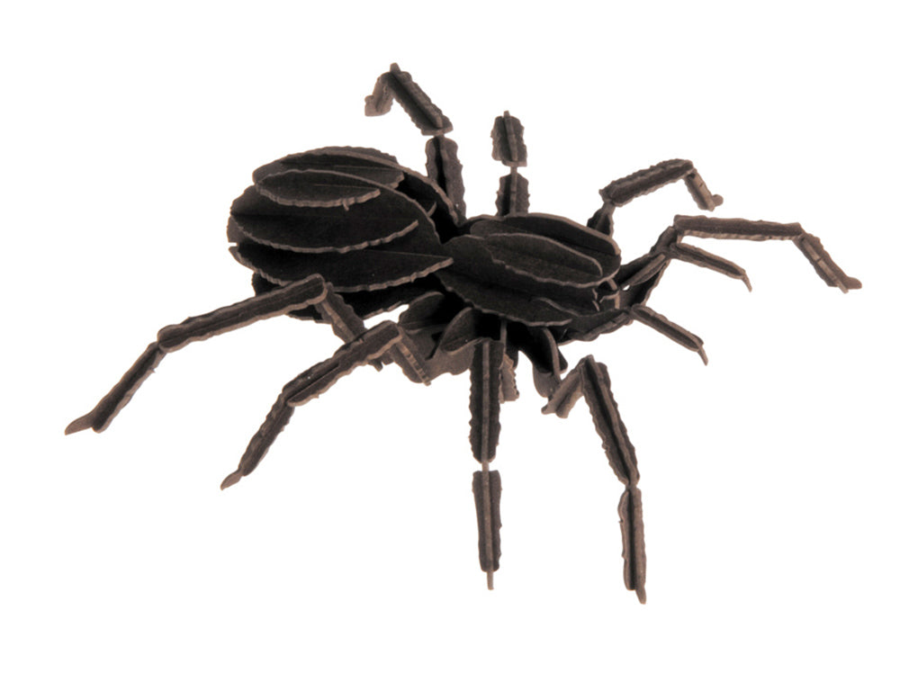 Modèle En Papier 3D - Tarantule