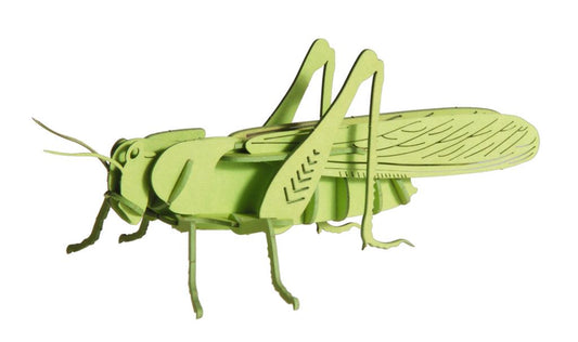 Modelo de papel 3D - Saltamontes