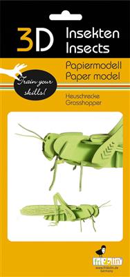 Modèle En Papier 3D - Sauterelle