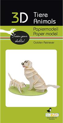Modelo de papel 3D - Golden Retriever