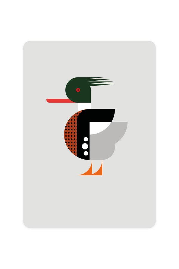 Postal con pato merganso de pecho rojo