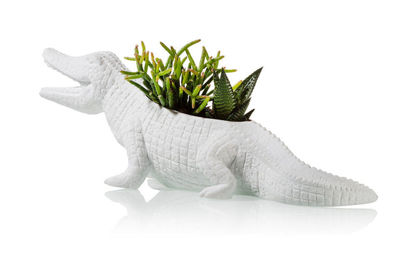Crocodile Planter