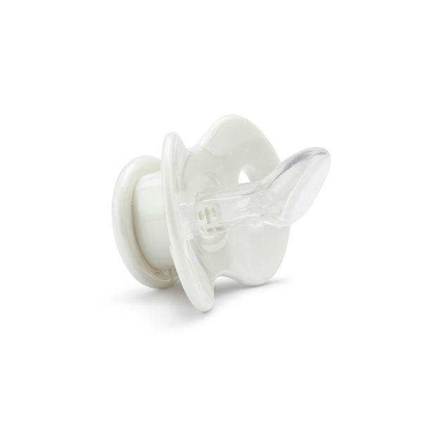 Flores flutuantes Birth Pollipop