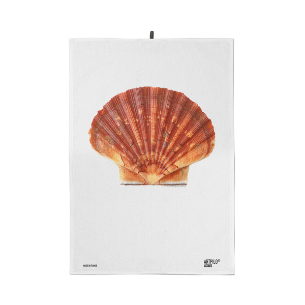 Canovaccio Jacques the Shell