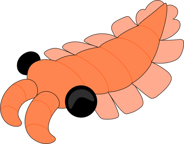 Anomalocaris Plush (9in)