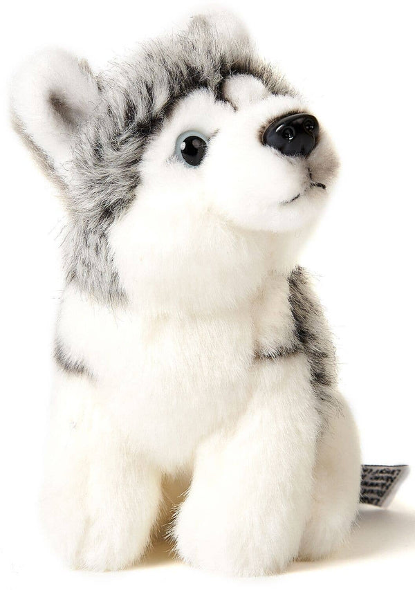 Peluche Husky, assis Uni Toys