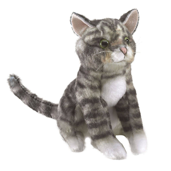 Marionnette à main Mini chaton 2791/ Mini chat tigré Folkmanis réaliste