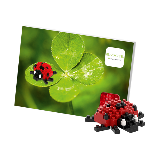 Carte postale Brixies coccinelle