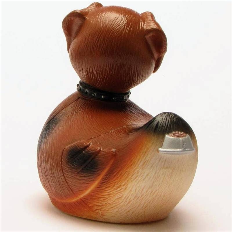 Canard Chien « Duckhound »