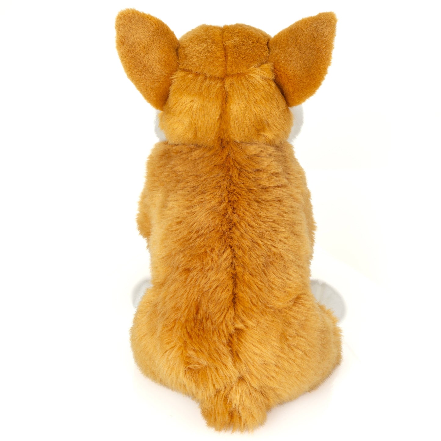 Peluche de Corgi