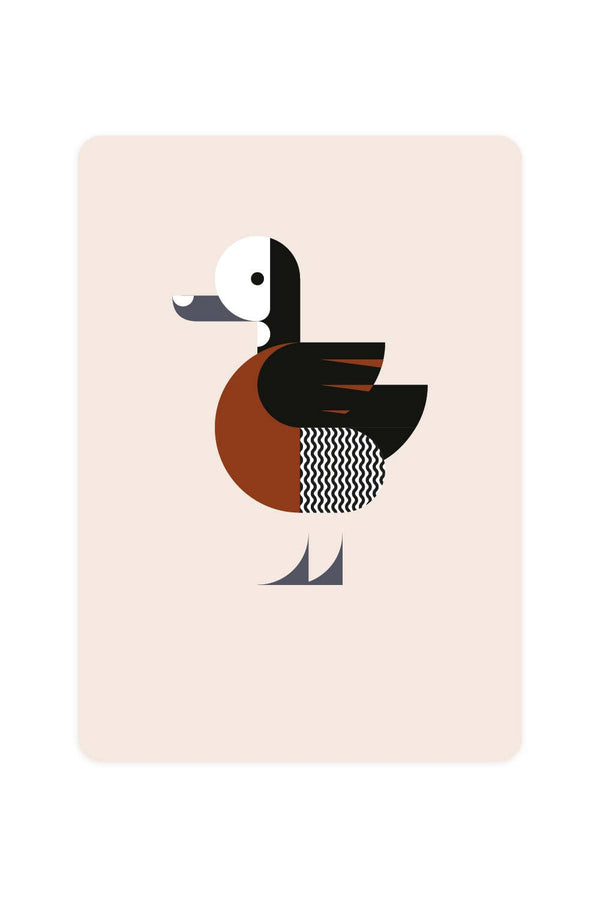 Postal de un pato silbador cariblanco
