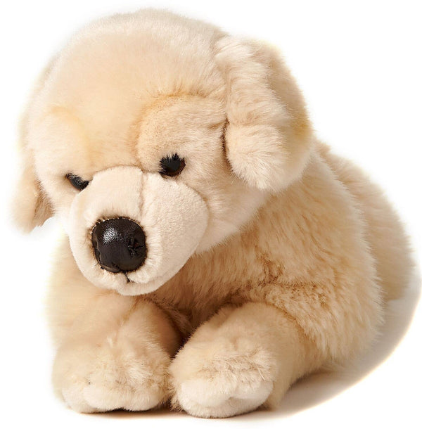 Peluche golden retriever couché Uni Toys