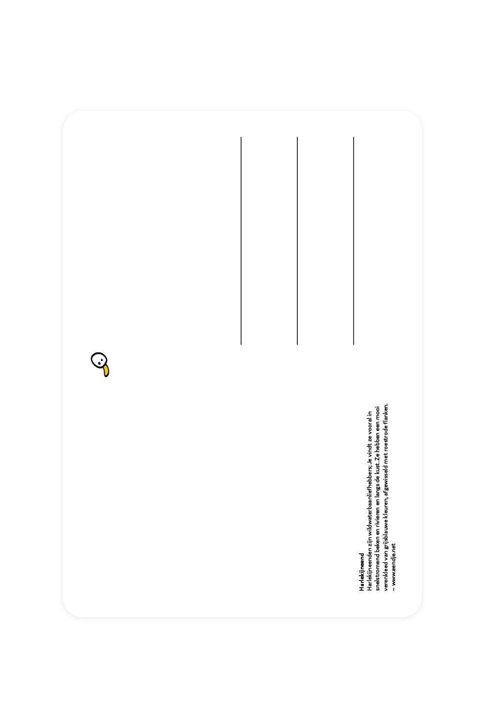 Carte postale avec Arlequin Duck