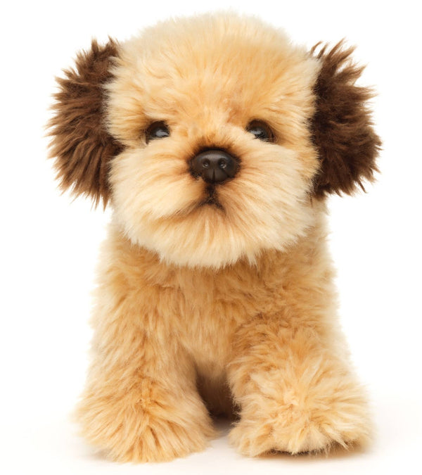 Peluche Shih Tzu Doodle, assis Uni Toys