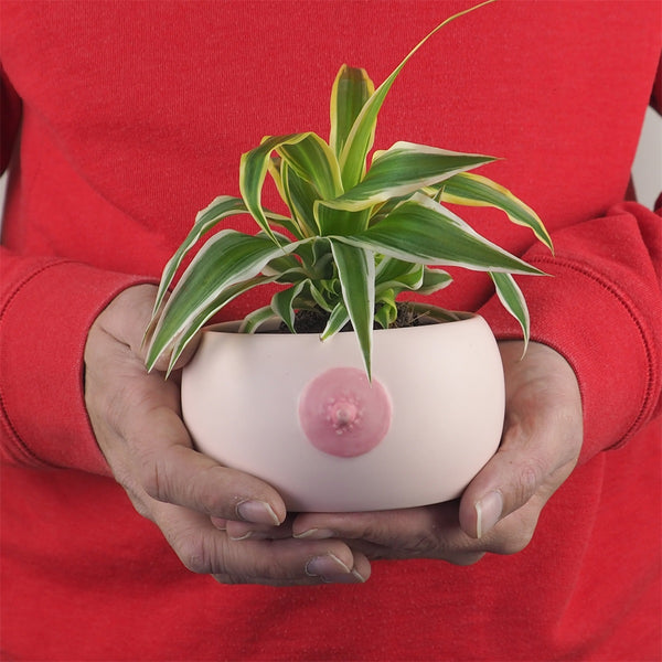 Bol Sein Bitten – Accessoire de table original