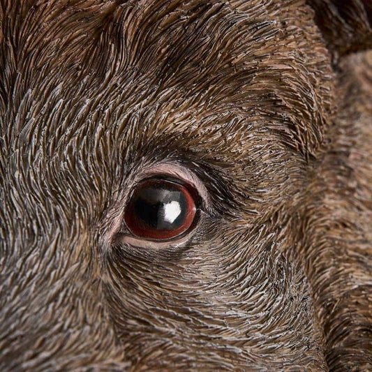 Aplique de pared Willy el Jabalí, resina de poliuretano marrón