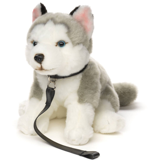 Peluche Husky gris, assis (avec laisse) Uni Toys