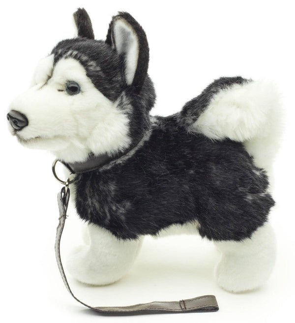 Peluche Chiot husky, debout avec laisse Uni Toys