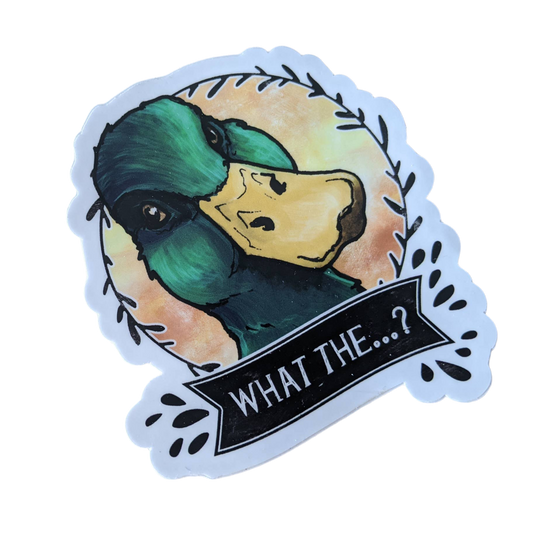 Pegatina de pato silvestre "¿Qué...?"