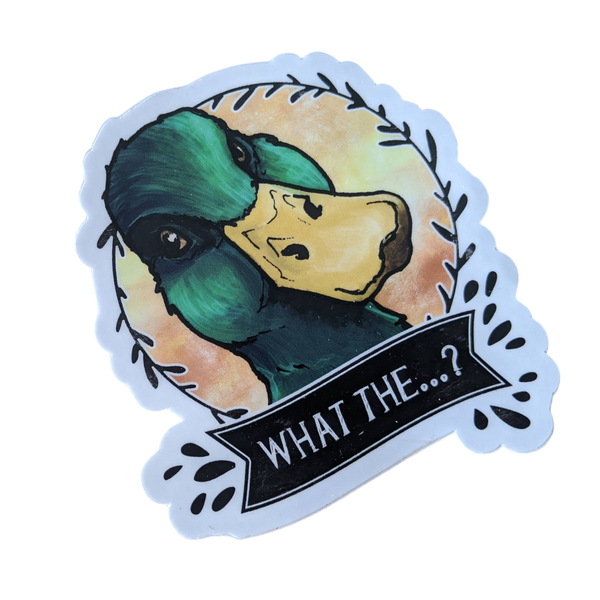 Autocollant Canard Colvert “What the…?”