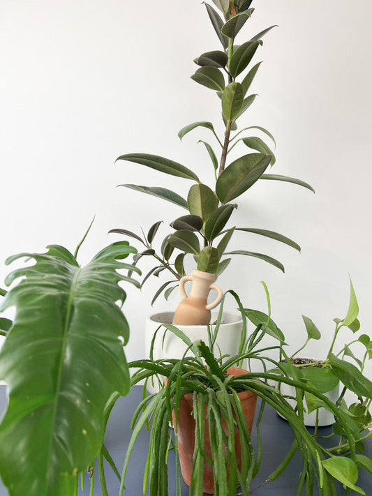 Aspersor autónomo Amphora