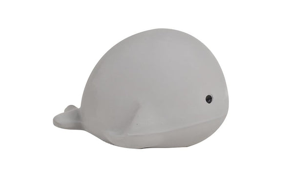 Il mio primo animale marino: la balena