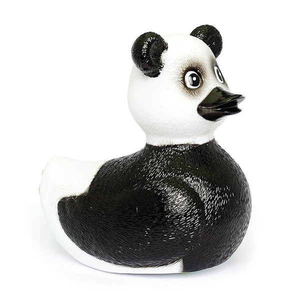 Panda Anatra