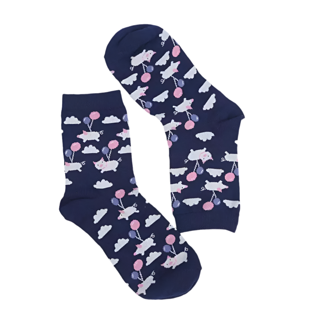 chaussettes cochon volant mr col