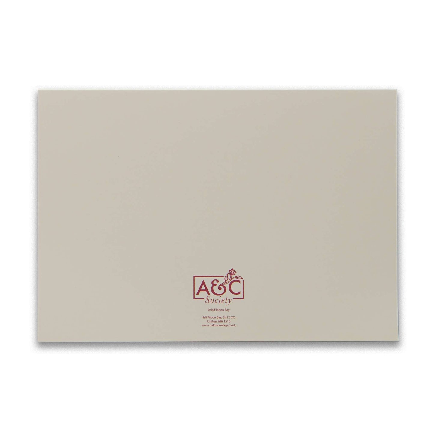Coffret de 12 cartes et enveloppes Iris/Bthorn/Meadow Flower