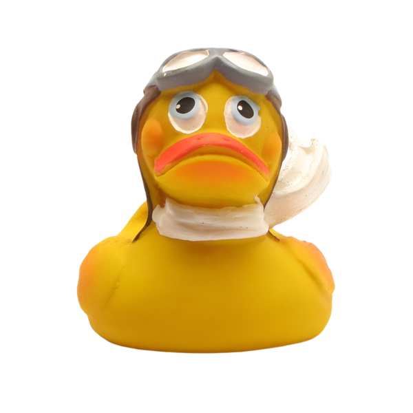 Canard Aviateur