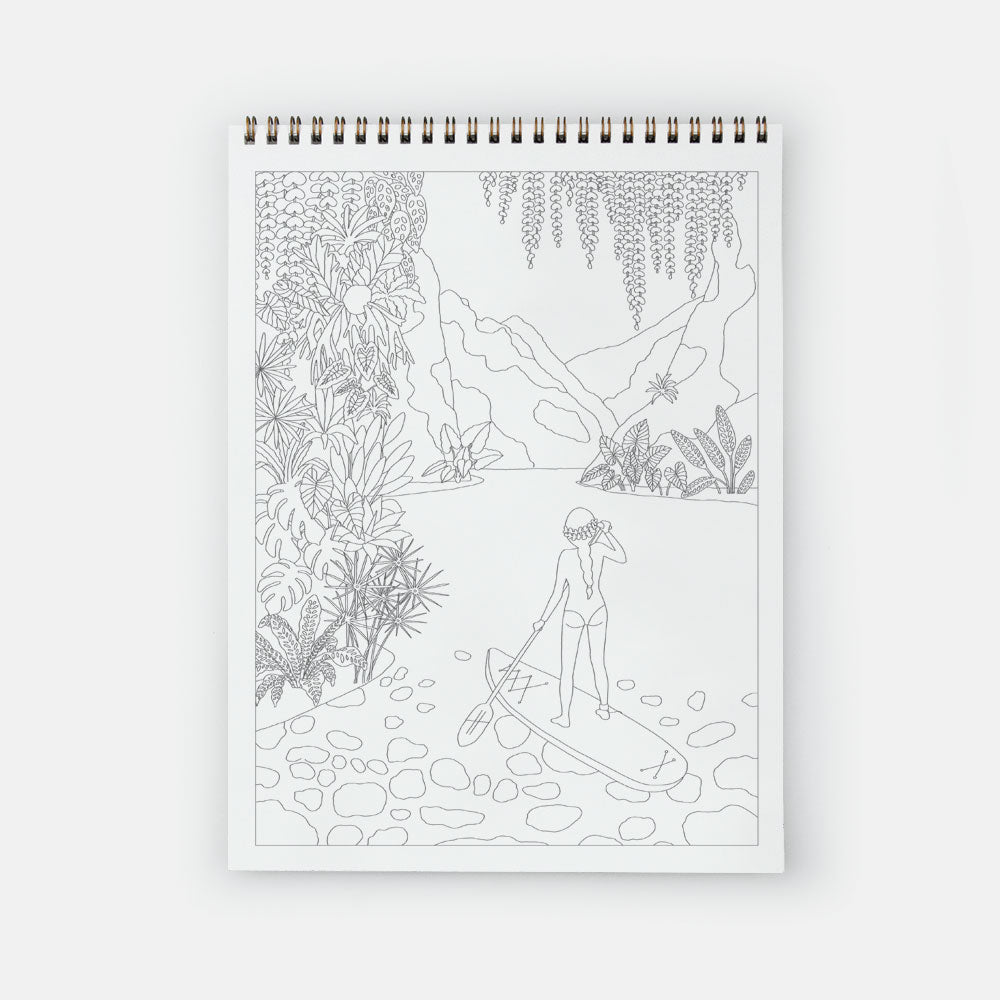 Livre de coloriage