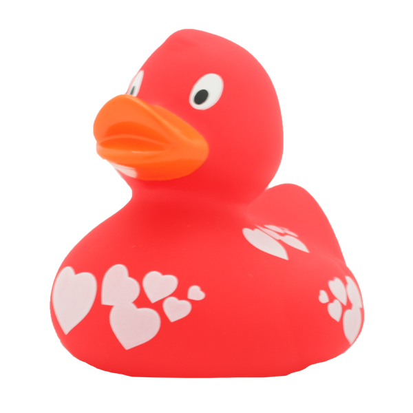 Cuore di anatra rossa